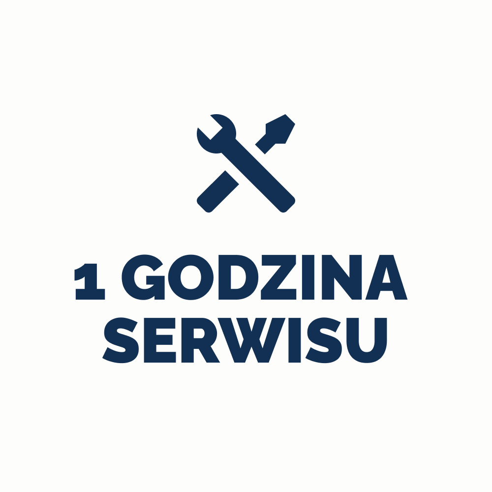 1 godzina serwisu